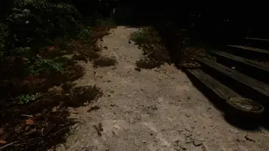 《上古卷轴5：天际重制版》肮脏的泥土MOD截图2