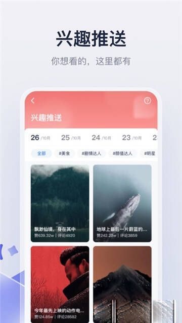 创作猫相关展示图片