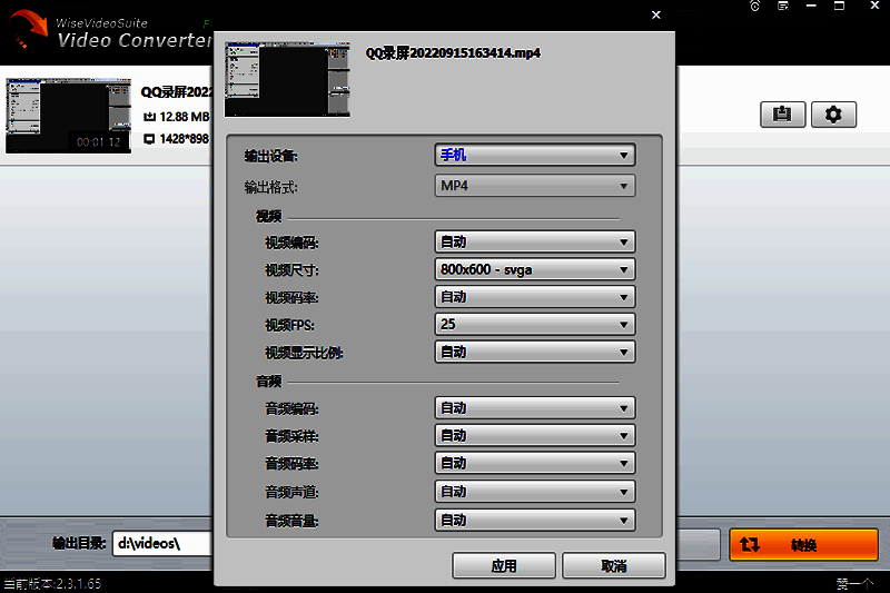 Wise Video Converter添加水印功能展示图