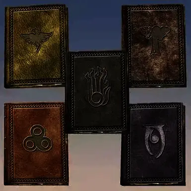 《上古卷轴5：天际重制版》法师掉落之书MOD截图