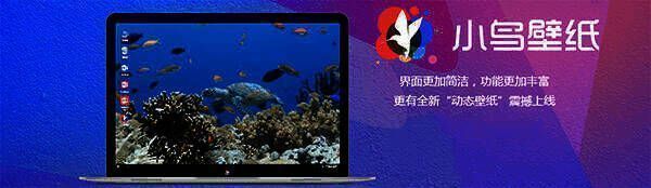 小鸟壁纸界面展示图