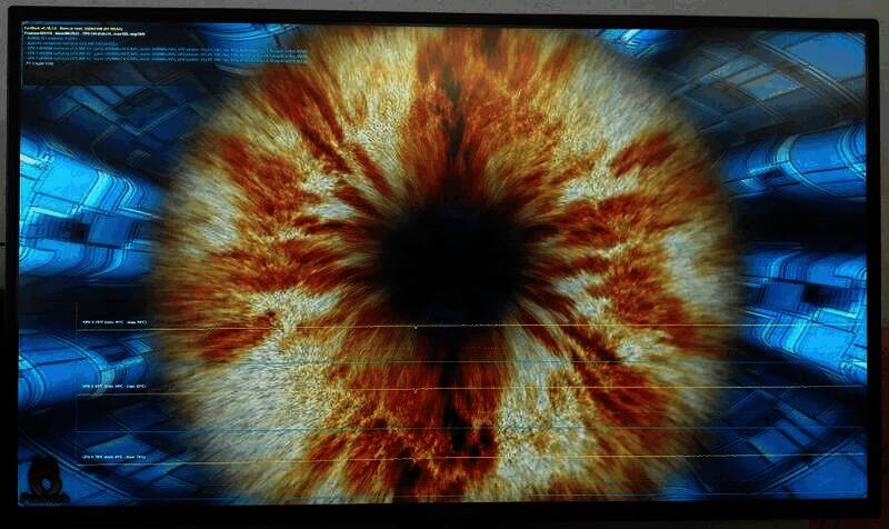 FurMark软件特色相关展示图