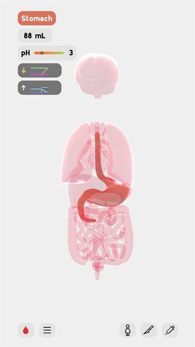 life生命模拟器汉化版游戏画面
