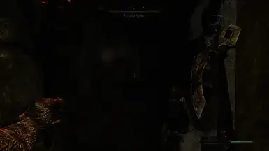 《上古卷轴5:天际重制版》强盗的世外桃源MOD截图1