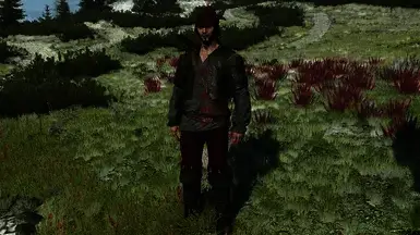 《巫师3:狂猎》蒲公英MOD截图2