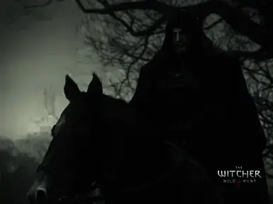 《巫师3:狂猎》同伴全额伤害MOD游戏截图