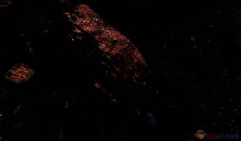 《天国：拯救2》MOD效果截图1