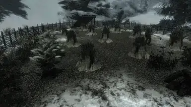 《上古卷轴5：天际重制版》Hollyfrost农场MOD截图