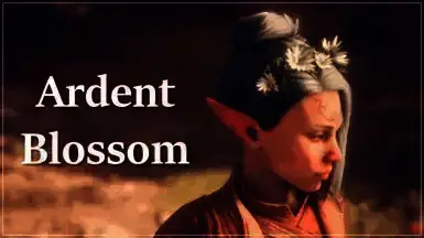 《龙腾世纪：影障守护者》花冠MOD游戏截图