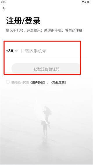 雀乐app登录页面及输入账号验证码示意图片