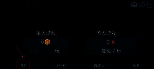 虚拟国家中文版选项界面图