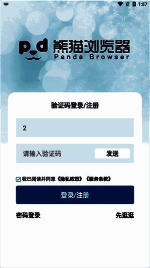 熊猫浏览器注册输入界面图片