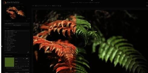 Darktable软件相关图片2