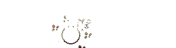 花园故事游戏精彩画面二