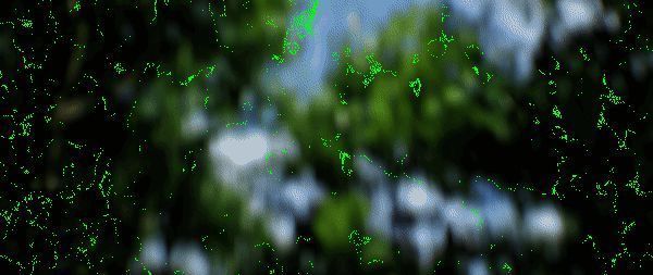 破碎怪谈雾雨村游戏特色展示