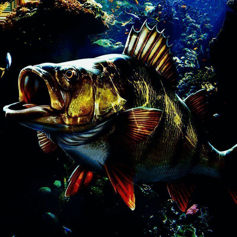 欢乐钓鱼大师 V2.20