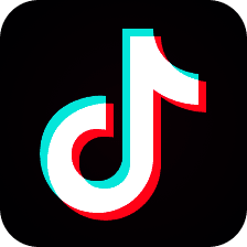 TikTok 国际版苹果 V29.46.73