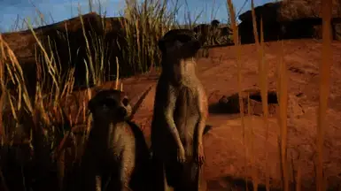 《动物园之星》猫鼬新变体MOD截图3