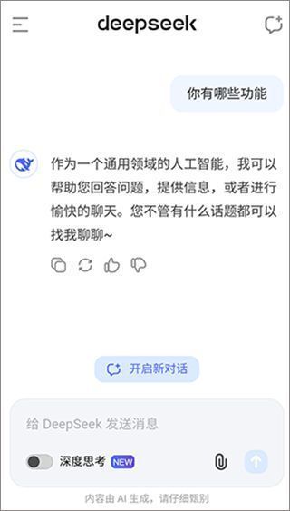 DeepSeek输入问题界面