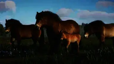 《动物园之星》埃克斯穆尔小马MOD截图2