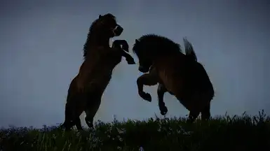 《动物园之星》埃克斯穆尔小马MOD截图3