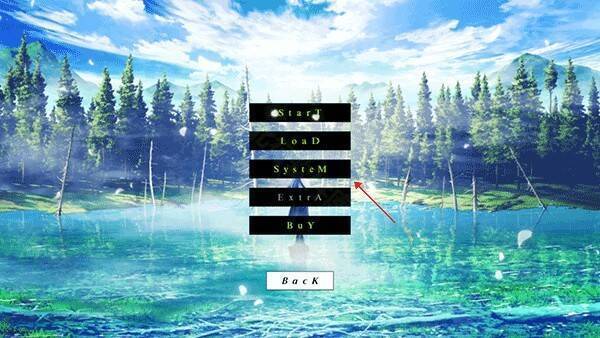 设置界面中的 system 按钮