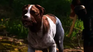 《天国：拯救2》安静犬吠MOD游戏画面截图