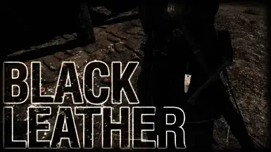 《天国:拯救2》黑色皮革MOD游戏截图1