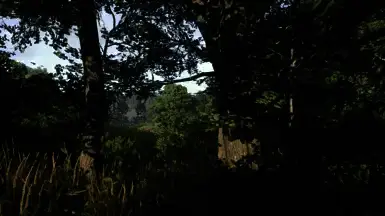 《天国：拯救2》较暗的阴影预设MOD截图1