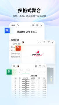 WPS Office 2025 相关图片