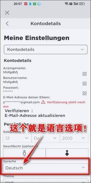 Sprache选项