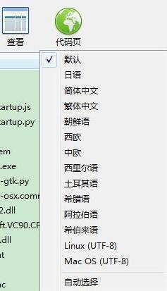 BandiZip解决乱码问题示例图1