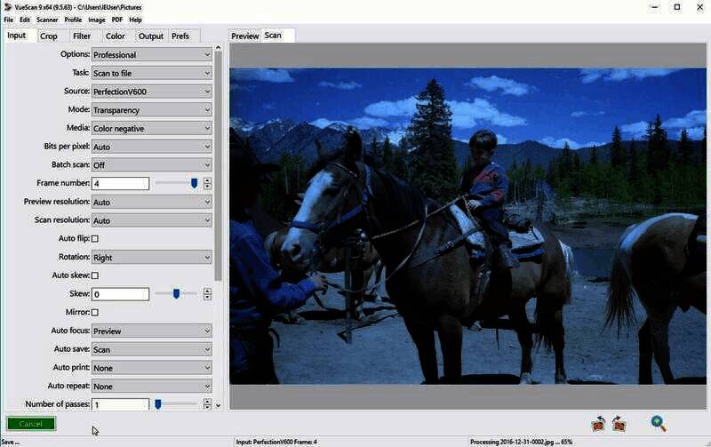 胶片和载玻片扫描示例图
