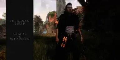 《龙腾世纪：影障守护者》装备交换MOD截图1