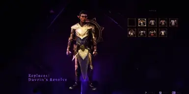 《龙腾世纪：影障守护者》装备交换MOD截图3