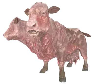 《辐射4》婆罗门并不懦弱MOD游戏截图