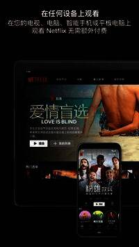 Netflix iOS版应用展示图
