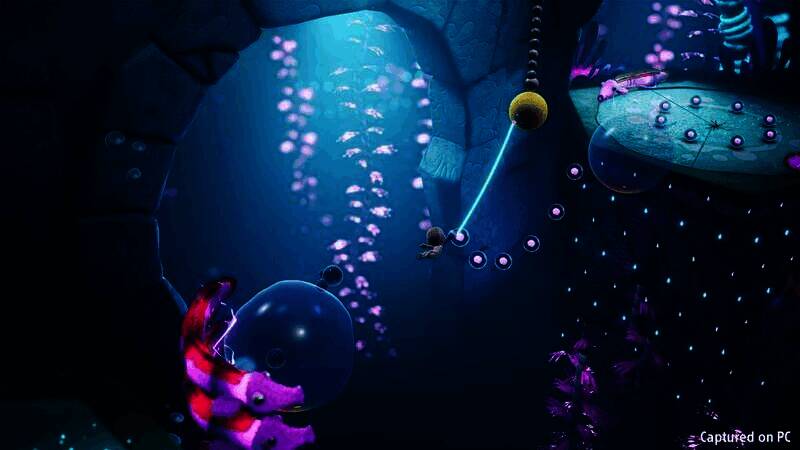 麻布仔多人游戏模式画面