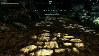 《上古卷轴5:天际重制版》安魂曲的更大手提袋MOD截图