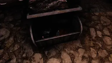 《上古卷轴5：天际重制版》时髦的兽人箱子MOD截图2