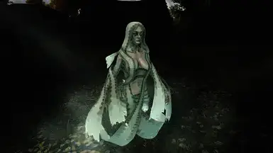 《上古卷轴5:天际重制版》透明度重影效果MOD截图3