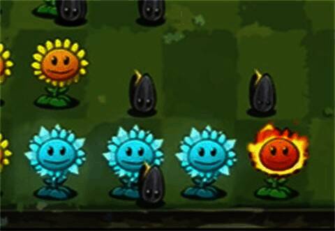 地刺荆棘坚果植物形象