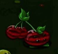 樱桃西瓜植物形象