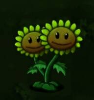 双子向日葵植物形象