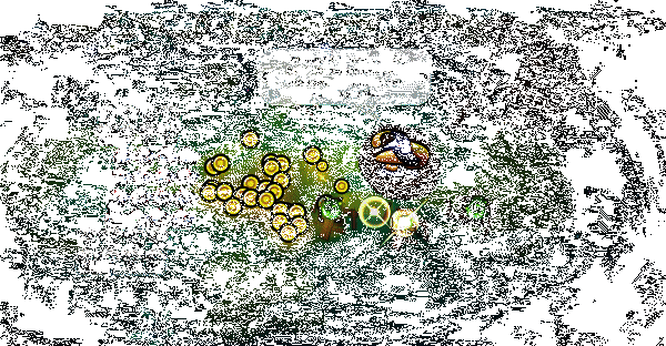 Knightica游戏相关动态画面2