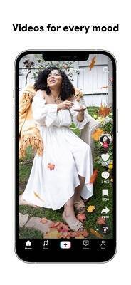 TikTok国际版相关图片