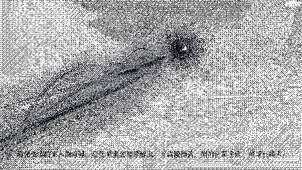 《造化仙缘》游戏背景相关画面