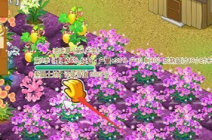 可偷取状态界面