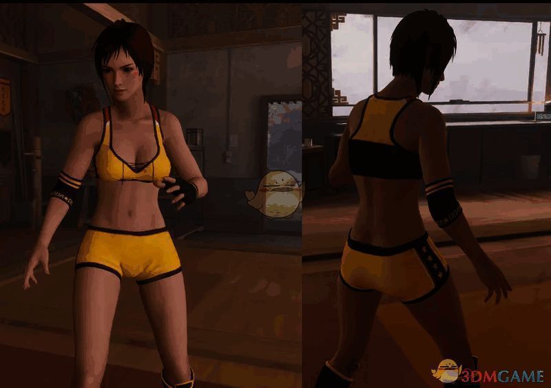 《师父》扮演死或生米拉MOD游戏画面截图