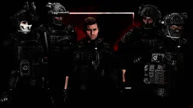 《辐射4》PMC特遣队员包MOD游戏截图1